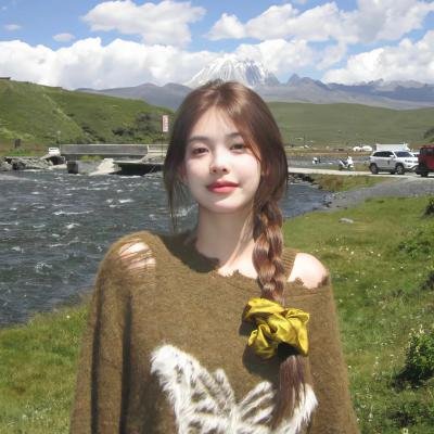 借脸